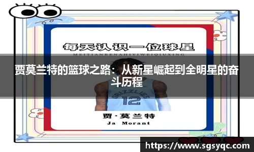 智博19